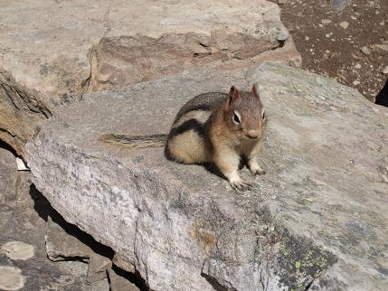 カナディアンロッキーの旅ーそのⅠ_b0102675_147279.jpg