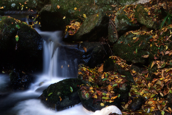 e0165983_14171777.jpg