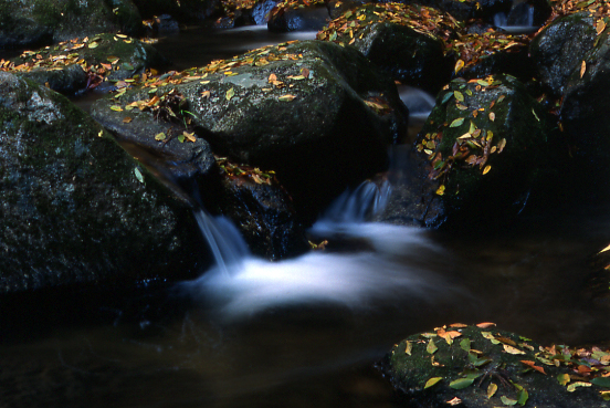 e0165983_141822.jpg