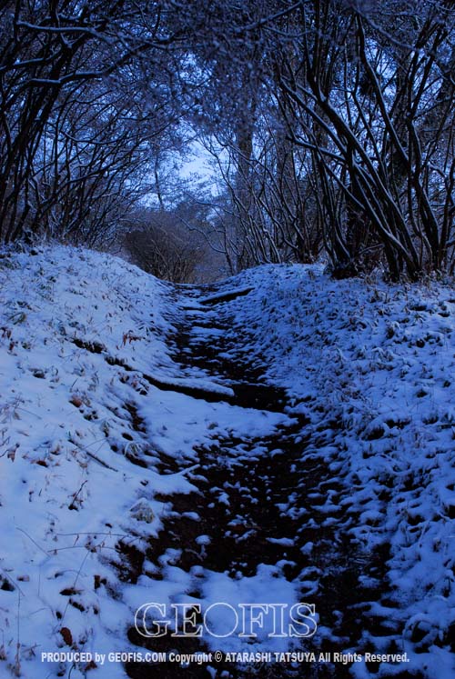 今年二度目の積雪・関八州見晴台・越辺川源流部へ_b0007284_23173875.jpg