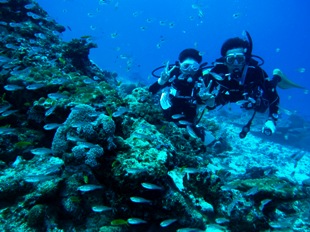 シミラン諸島でナイスダ～～イブ♪_f0144385_3393745.jpg