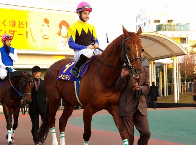 カネヒキリ、ヴァーミリアンとの一騎打ちを制し、豪華メンバーの