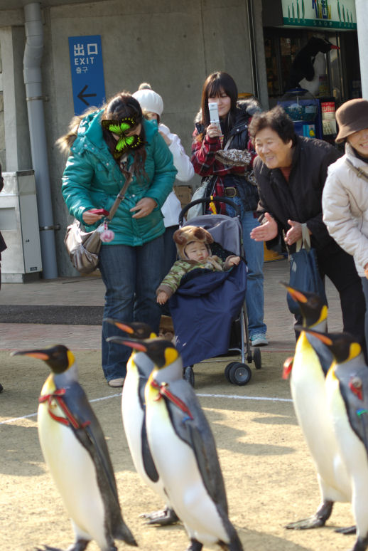 長崎ペンギン水族館！！_c0152288_189316.jpg