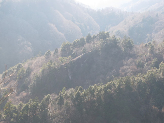 b0116703_1764015.jpg