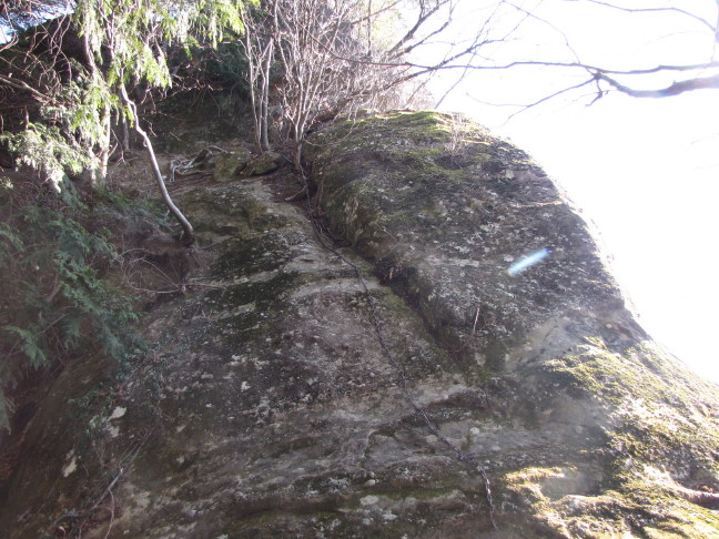b0116703_1771530.jpg