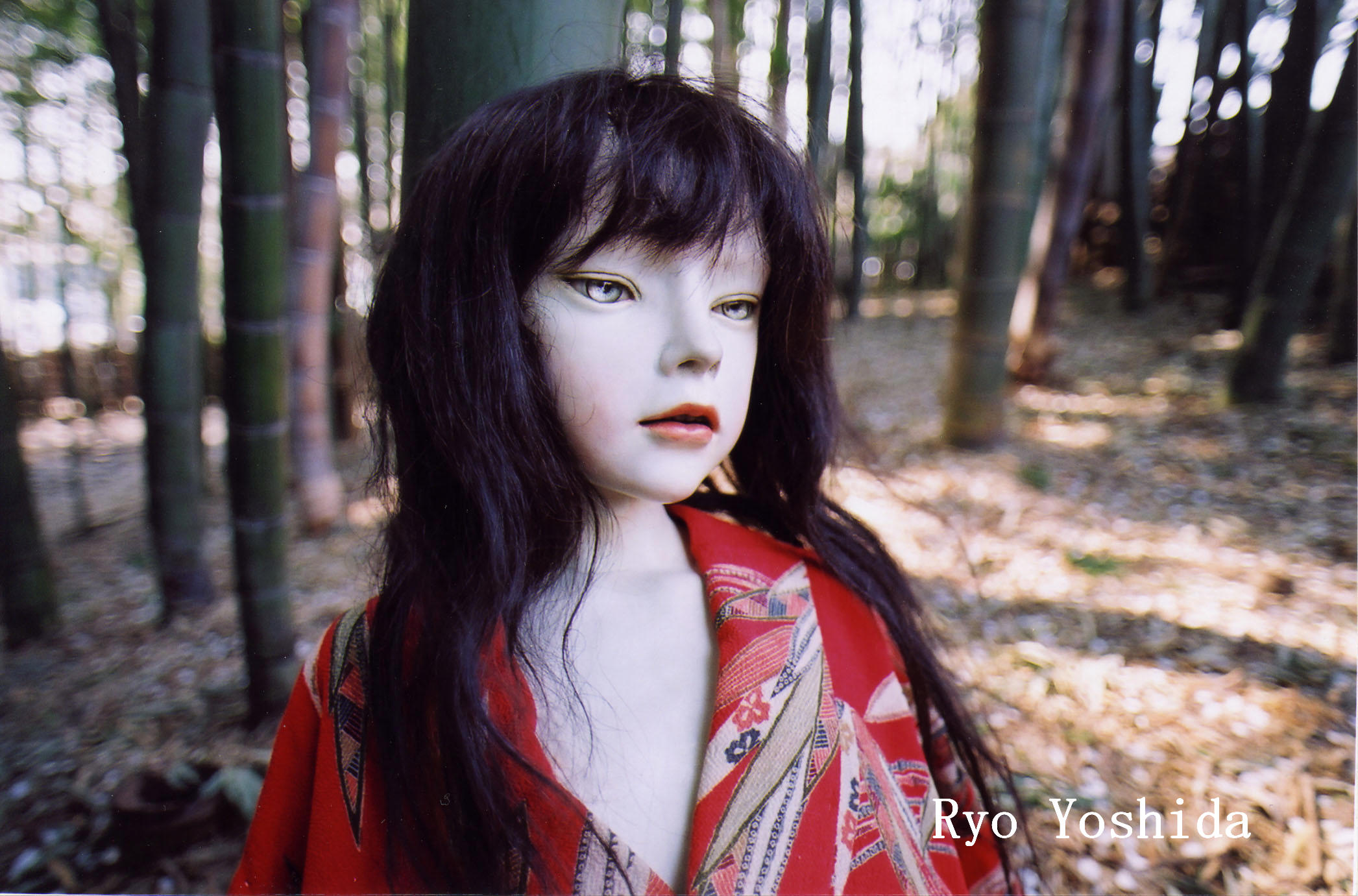 東京国立近代美術館工芸館所蔵人形展 感じる鼓動 球体関節人形 Doll Space Pygmalion 東京国立近代美術館工芸館所蔵人形展 感じる鼓動 球体関節人形 Doll Space Pygmalion