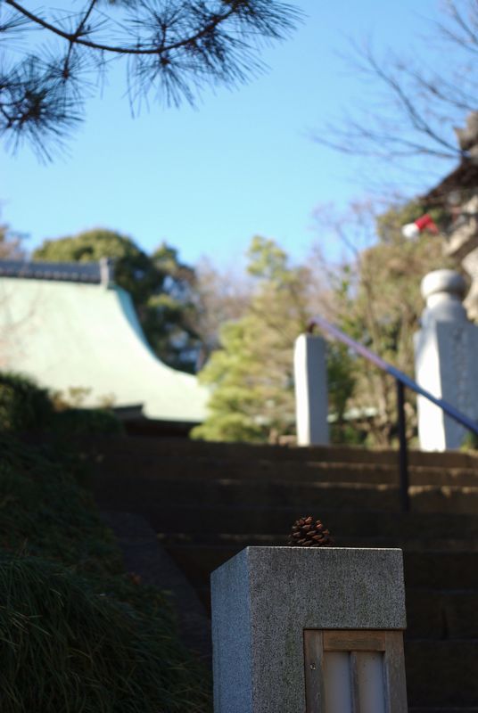 c0187503_179127.jpg