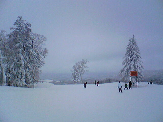 a0100206_1603433.jpg