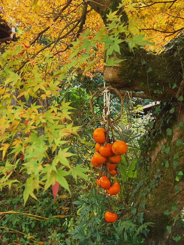 河内長野三山 その8：薬樹山延命寺_d0087407_23573075.jpg