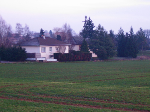 d0135907_3382238.jpg