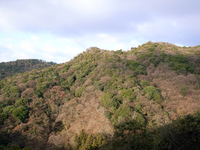 c0188008_10261622.jpg