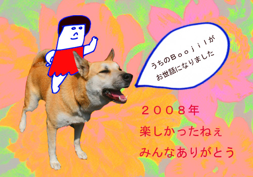 e0023512_15544656.jpg