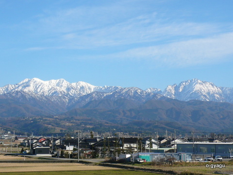 a0026413_16511596.jpg