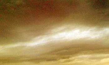 a0055913_042892.gif