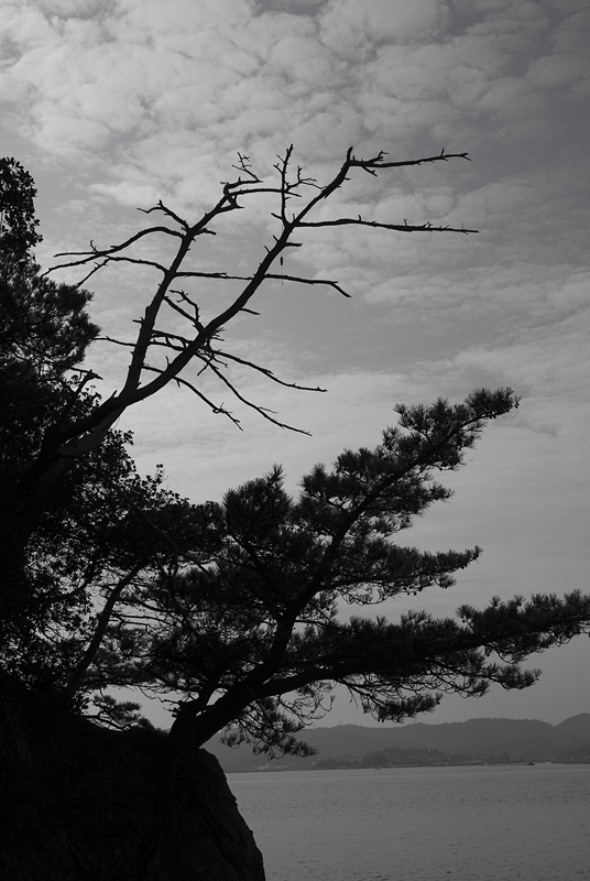 c0062418_11163886.jpg