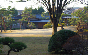c0048023_82116.jpg