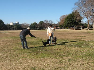 公園へ行こう2　～さぎ山記念公園・見沼自然公園編～_e0162524_16421342.jpg