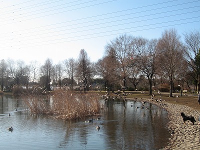e0162524_16423079.jpg