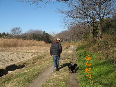 公園へ行こう2　～さぎ山記念公園・見沼自然公園編～_e0162524_16451100.jpg