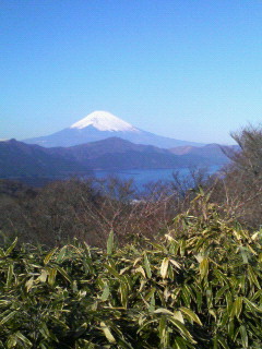 f0186330_1221182.jpg