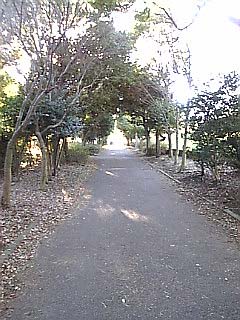 萬屋散歩道　1_d0021435_03255.jpg