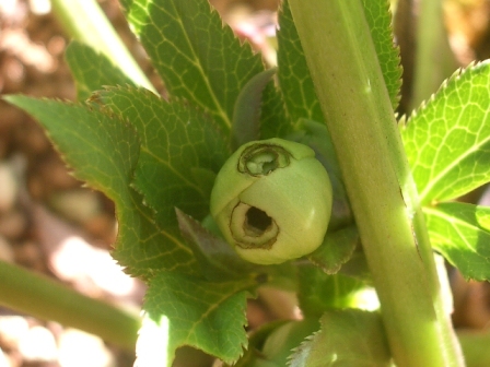 c0025140_20504643.jpg