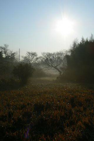 e0122350_17135652.jpg