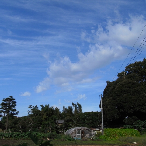 e0122350_17284669.jpg