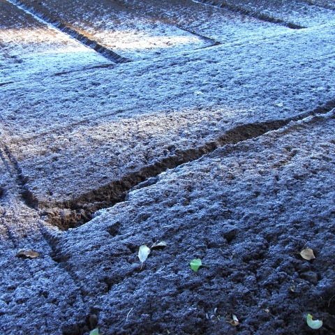 e0122350_17311537.jpg