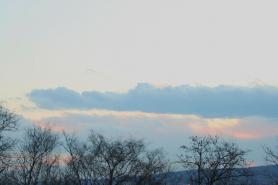 e0126350_9474012.jpg