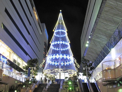 イルミネーションの季節～浜松駅前_c0060651_9134411.jpg