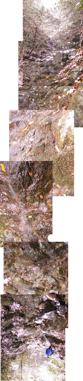 e0033751_11372896.jpg