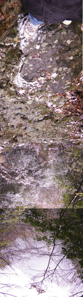 e0033751_12352811.jpg