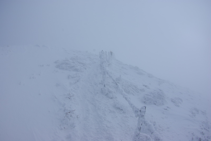 雪の大山登山その２_a0009554_11341192.jpg