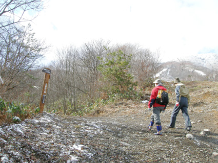 飯綱東高原　新・トレッキング遊歩道下見_a0034757_1752488.jpg