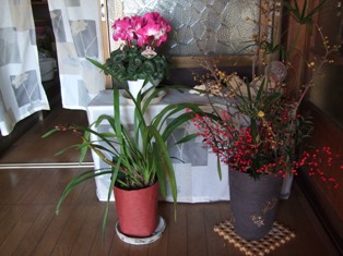 c0111557_23944.jpg