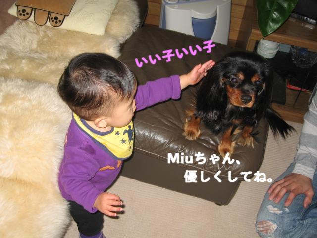 Miu 参上!!!_a0101958_1543499.jpg