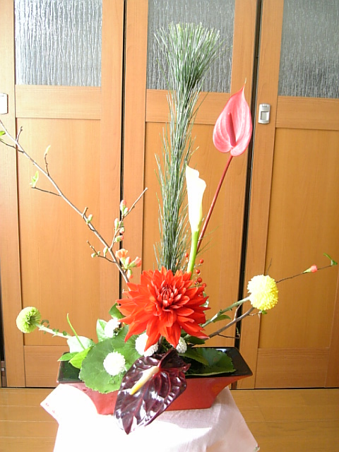 c0115560_1955565.jpg