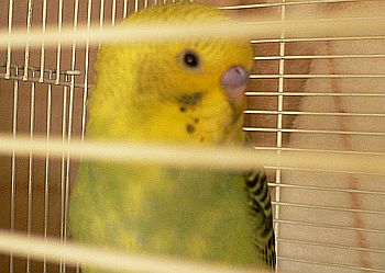 f0196665_0114820.jpg
