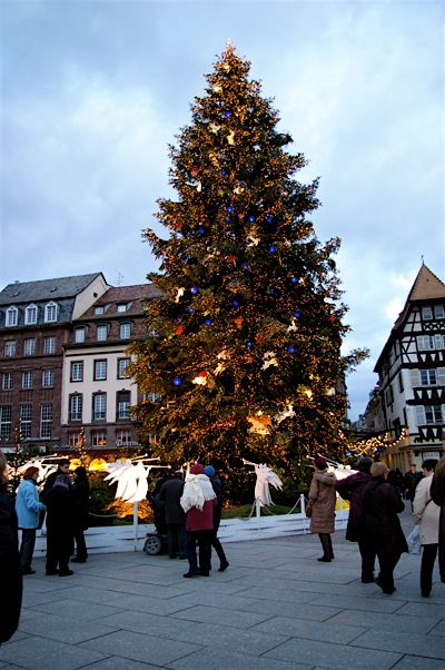 a0109466_9145961.jpg