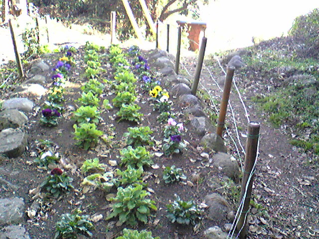 c0138868_9352639.jpg