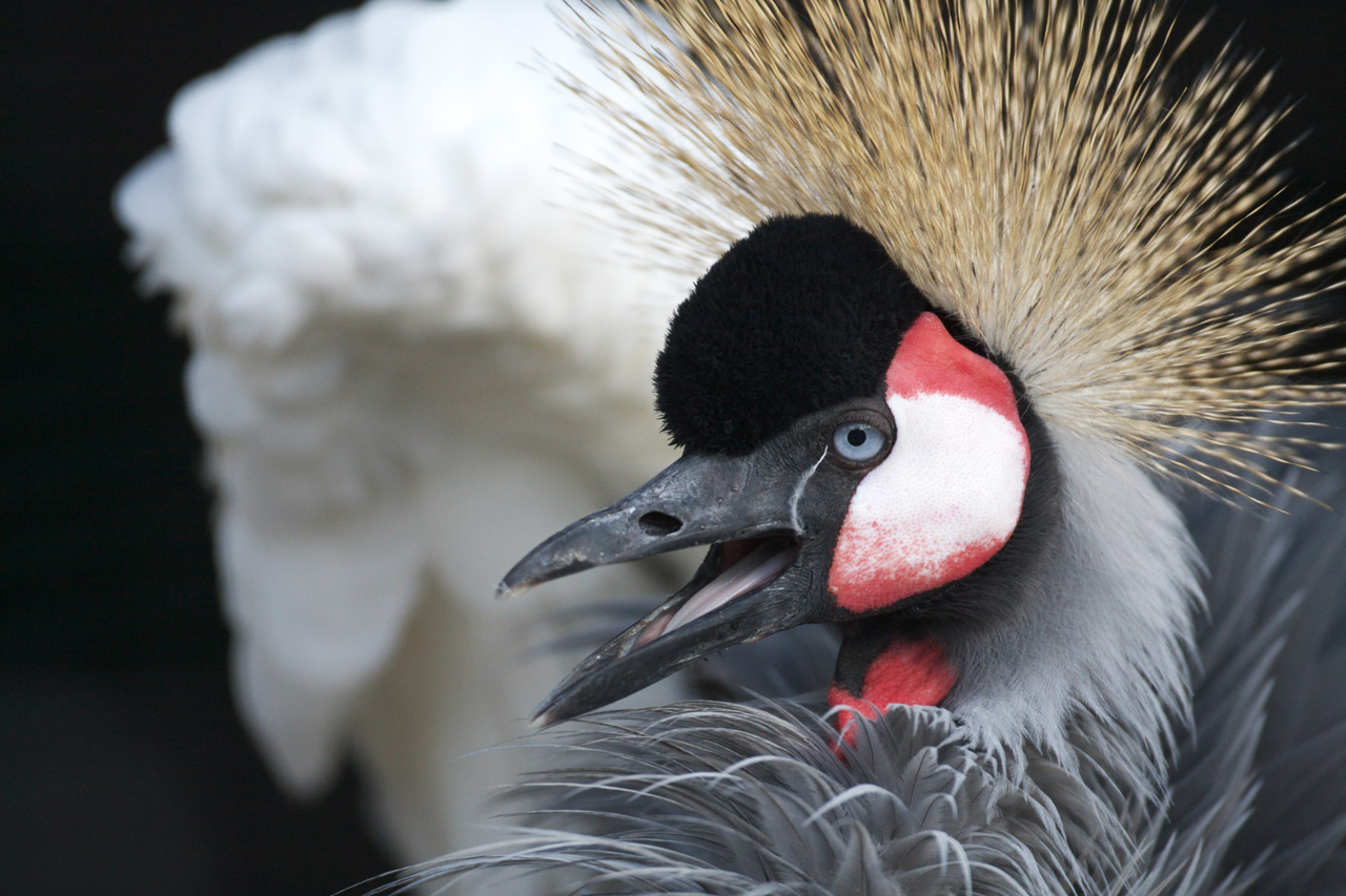 天王寺動物園642_e0060169_9135611.jpg