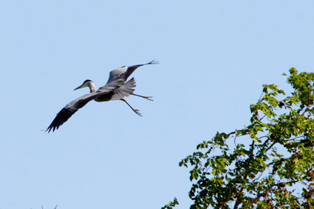 f0021369_20213.jpg