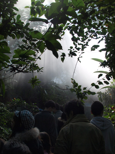 年末旅行　いわき→小名浜_c0122670_245917.jpg