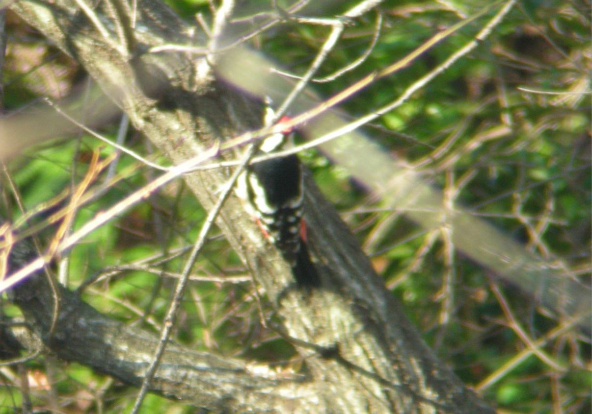 a0053771_151255100.jpg