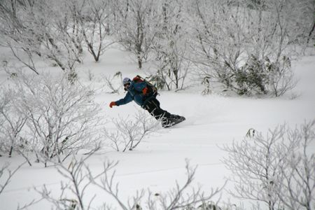 d0079579_18131540.jpg