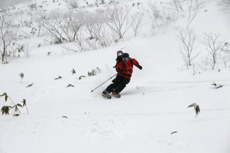 d0079579_18132649.jpg