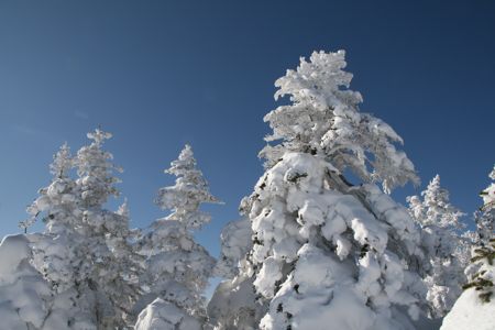 d0079579_183079.jpg