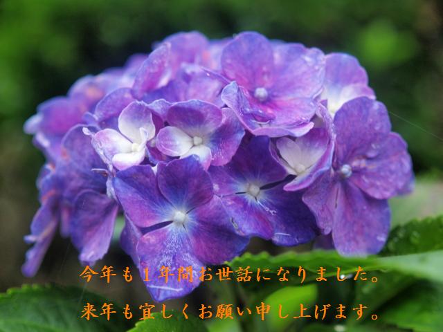 c0050380_21442140.jpg