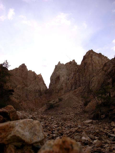 e0129083_2391188.jpg